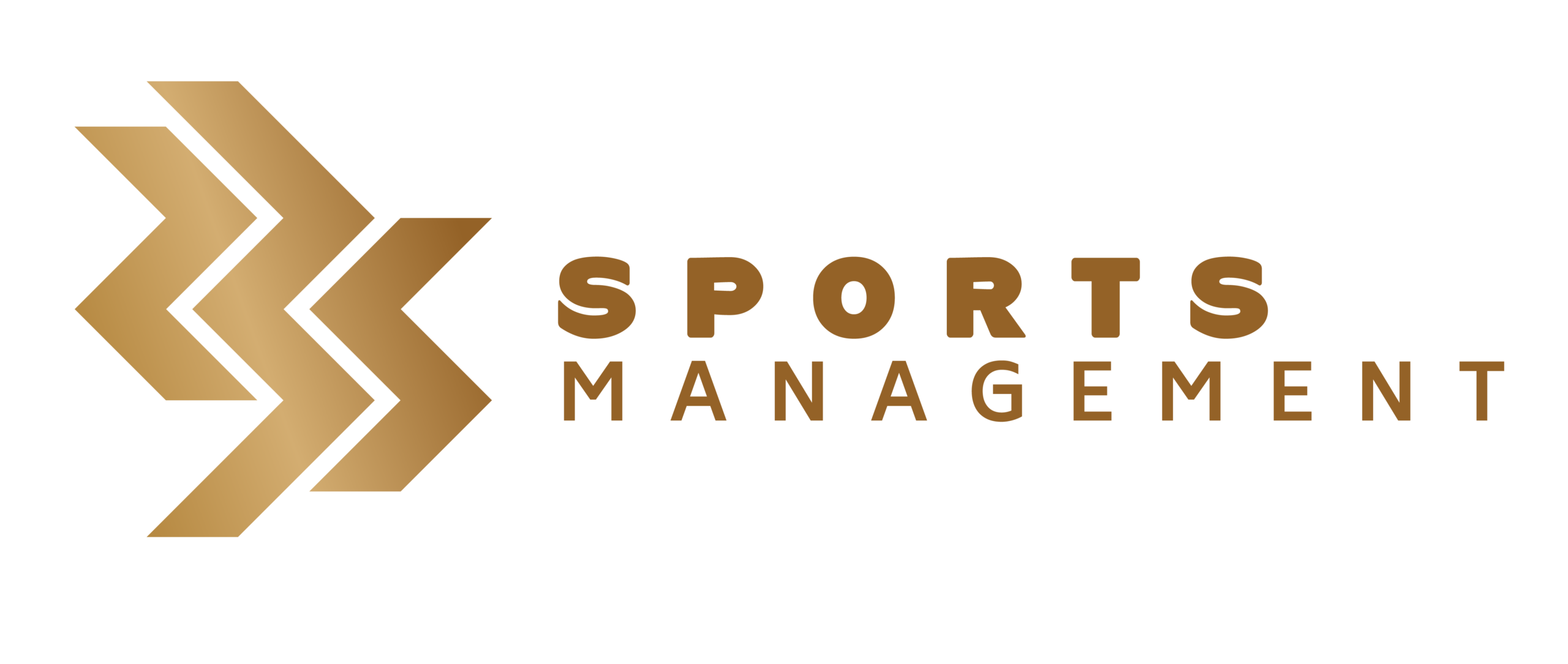 235 Sports Management